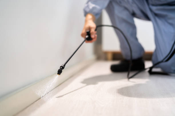 Licensed Termite Control service in Weidman, MI - Nex Pest Control