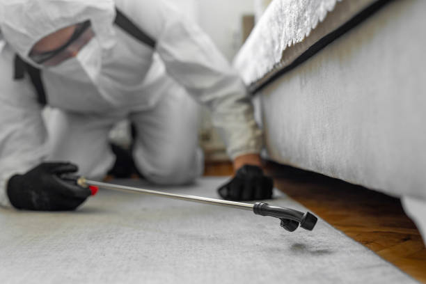 Professional Termite Control technician working in Weidman, MI