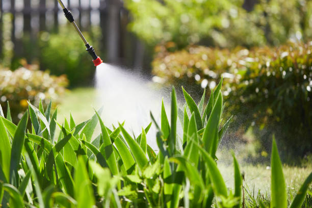 24/7 Emergency Termite Control experts in Weidman, MI