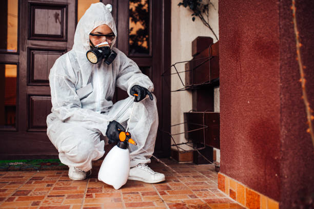 Reliable Termite Control contractor in Weidman, MI by Nex Pest Control