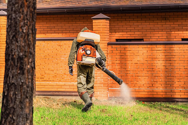 Top rated local Termite Control specialists in Weidman, MI